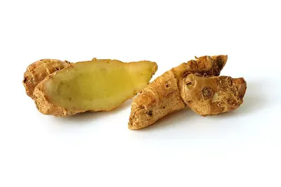 Ginger