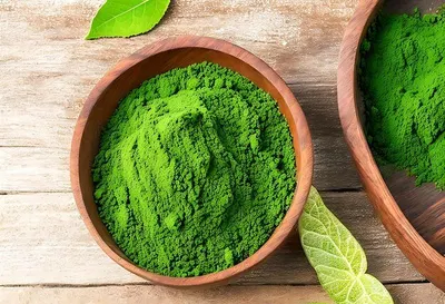 Indian Henna Powder & Leafs