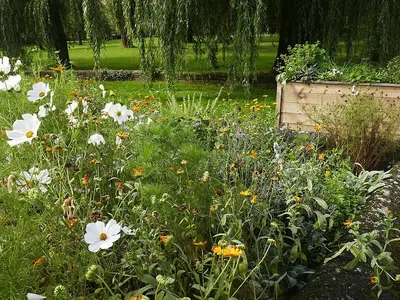 Mystic Garden