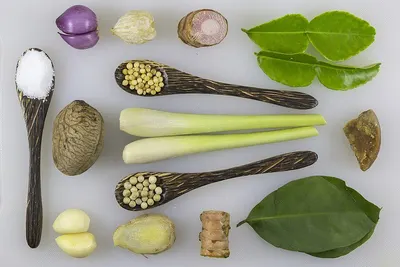Vegetable Fats by Sena Mills Refineries Exports Pvt Ltd.