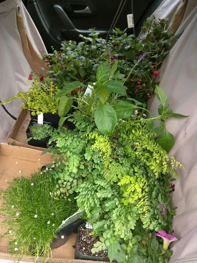 Herbs Dry,  Fully Processed