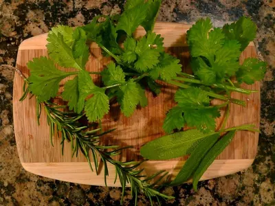 Thyme Leaf by Baster Sp. Zo. O