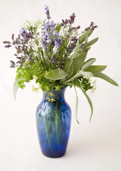 Organic Herbs