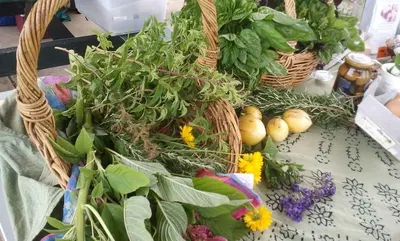 Ceylon Herbs