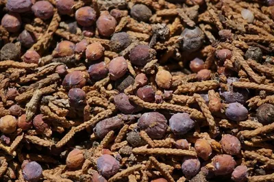 Gum Myrrh Malamal-wajir Orijin by Eternal East Africa Traders Ltd