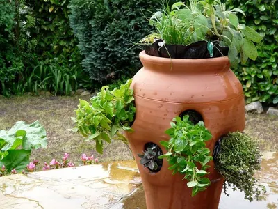 6in Self-watering Planter