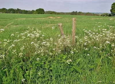 Farm fence