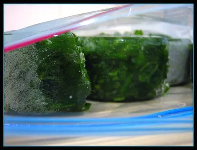 Frozen spinach (in blocks), Sever Vent