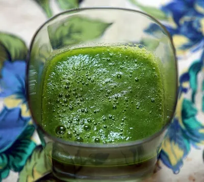 Spinach Puree by SBH Foods Pvt. Ltd.