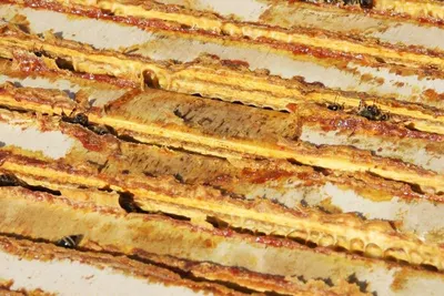Low Carb High Protein Italian Flat Bread