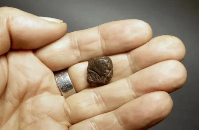 Indonesian Damar Batu (Fossilized Resin) by PT. Megadeal Airmas Nusantara