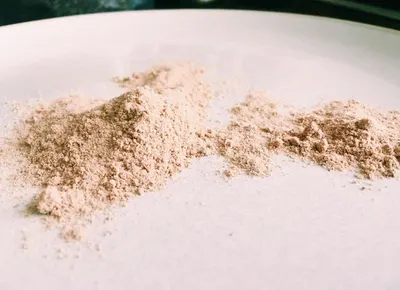 Mycoprotein Powder