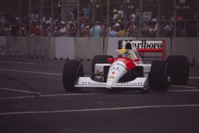 Senna leave