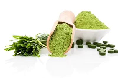 Moringa Powder