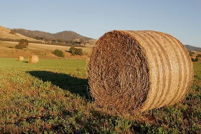 Drip Tube Bale by 2lians Pte. Ltd.