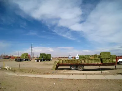 (6) Nicolas MDED Hydraulic Modular Trailer