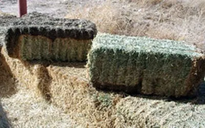 Cubes Bales Of Wheat Hay.