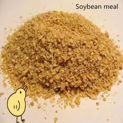 Soybean Meal