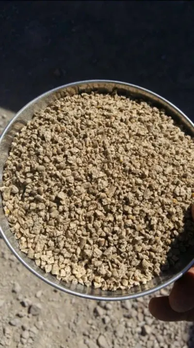 Sterilized Chicken Meal (MBM) by Souza Trading Company