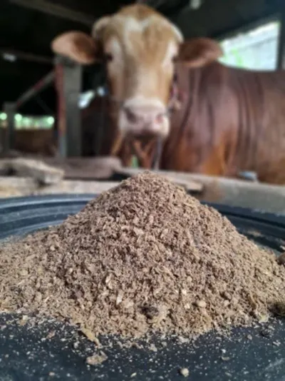 Silage