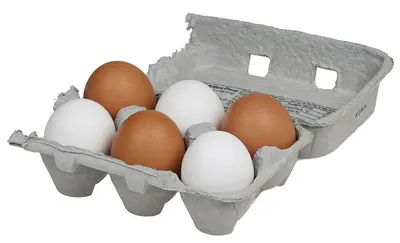 Egg Boxes Pulp Paper