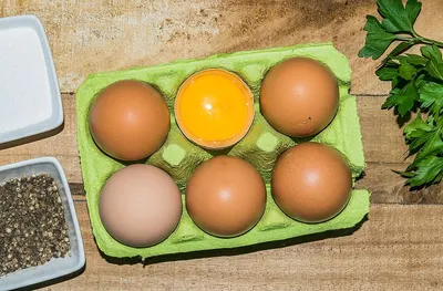6 Egg tray/Box