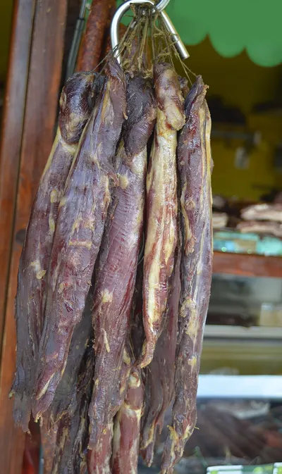 Thin Bark Tampala Bajakah
