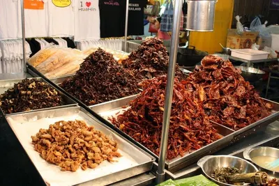 Pig Ears Dried - For dogs