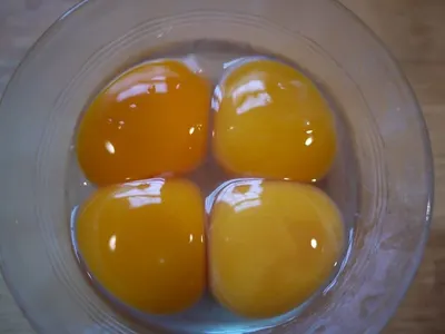 Egg transfer
