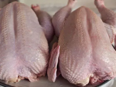 chicken breast tender