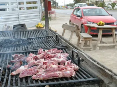 Lamb