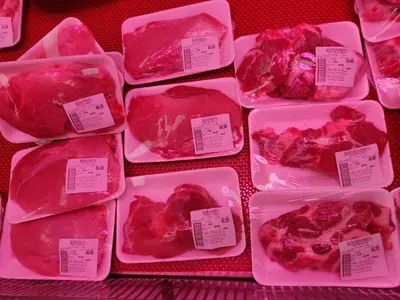 Pork Fat Back by JRV International Trading Sl