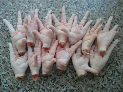 Frozen Chicken Legs