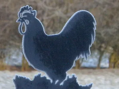 Chicken Paws