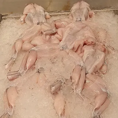 Frozen Whole Chicken ( Factory )