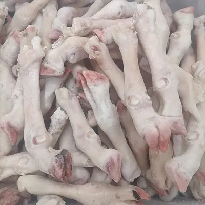 Frozen Chicken Feet/paws
