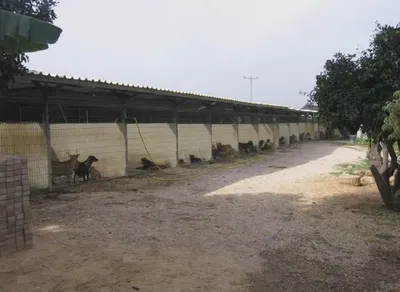 Bocca Comorio