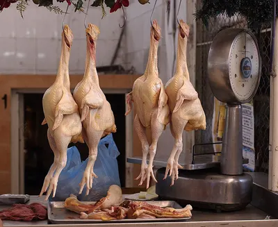 Whole Duck With Or Without Giblets