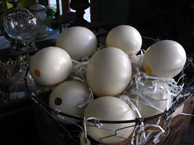 Metal Crystal Holder, Egg Holder by A. R. International