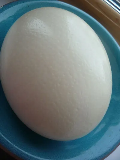 Liquid Egg by SBH Foods Pvt. Ltd.