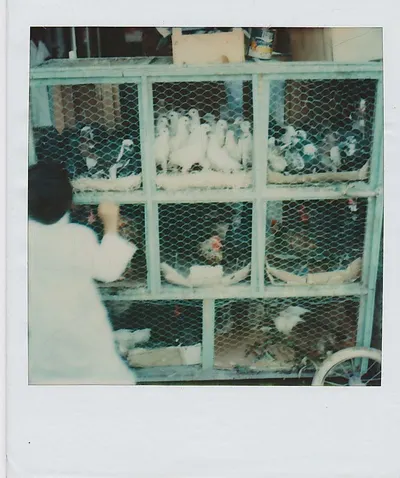 Warehouse Cage by Guangdong Winleader Metal Products Co., Ltd.