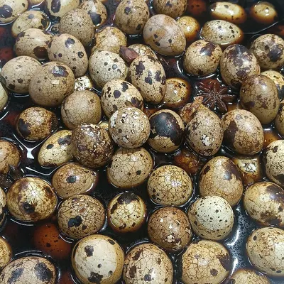 Henry's Quail Eggs by Henry Quail Eggs