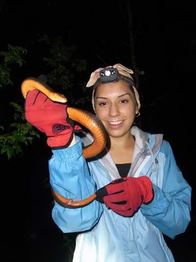 Snake Climber by Excel Engineers