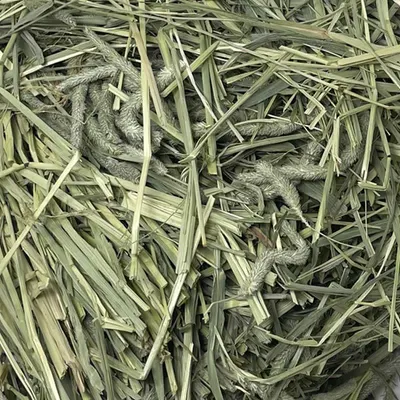 Dry Pandan Leaves