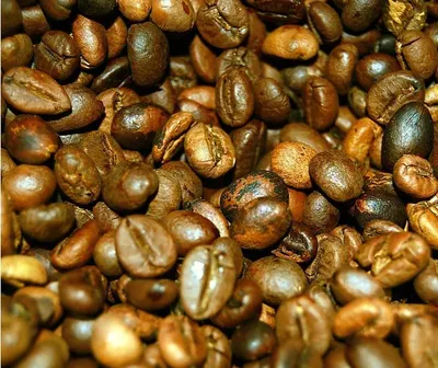 1000g Roasted Coffee