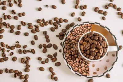 Specialty Coffee Arabica