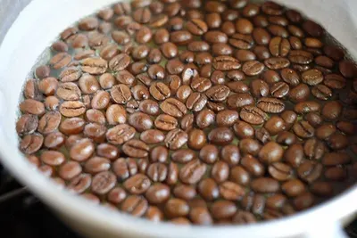 Arabica Lam Ha