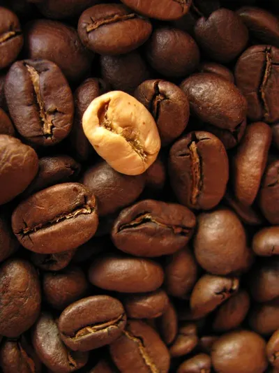 Arabica Coffee Gayo
