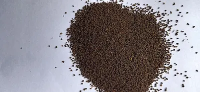 Black/Brown Copra