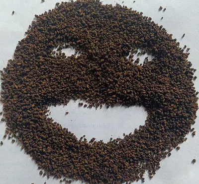 Mustard Seeds